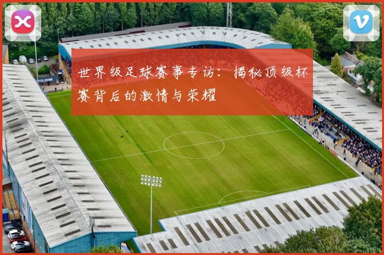 世界级足球赛事专访:揭秘顶级杯赛背后的激情与荣耀