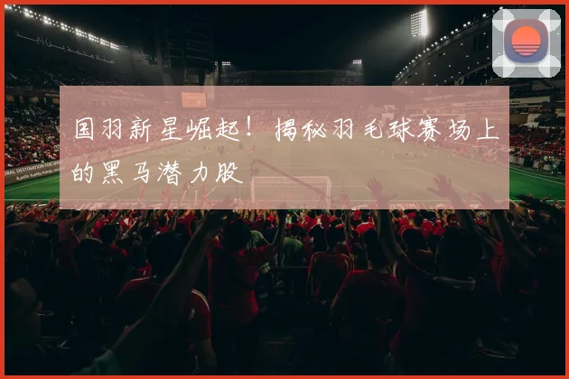 国羽新星崛起!揭秘羽毛球赛场上的黑马潜力股