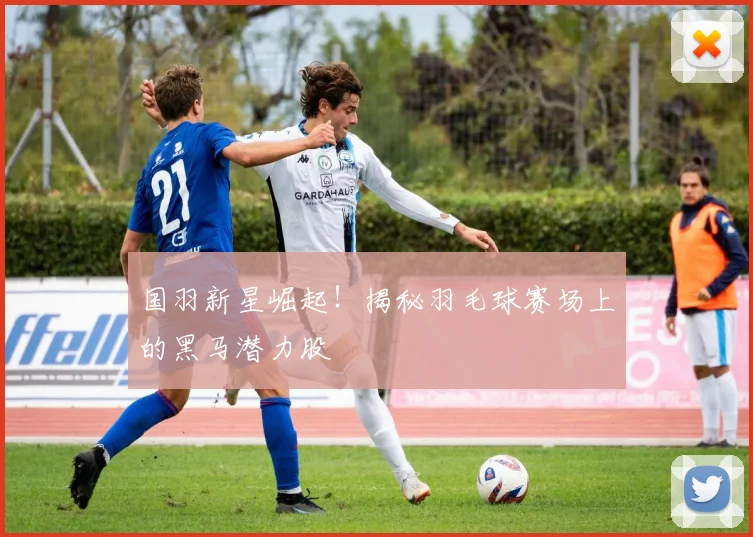国羽新星崛起!揭秘羽毛球赛场上的黑马潜力股