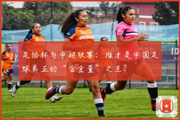 足协杯与中超联赛:谁才是中国足球真正的“含金量”之王?