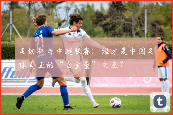 足协杯与中超联赛:谁才是中国足球真正的“含金量”之王?