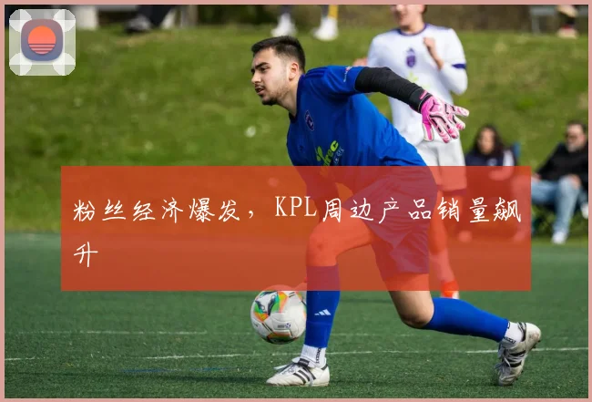 粉丝经济爆发，KPL周边产品销量飙升